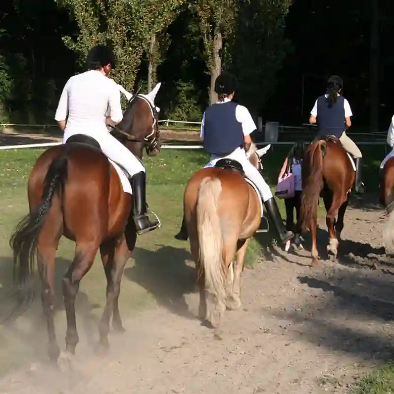 10 / 10: Trainingsplatz und Reitplatz Ameiswiese