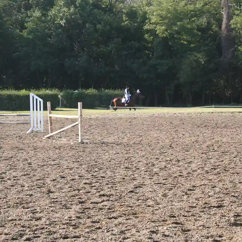 6 / 10: Trainingsplatz und Reitplatz Ameiswiese