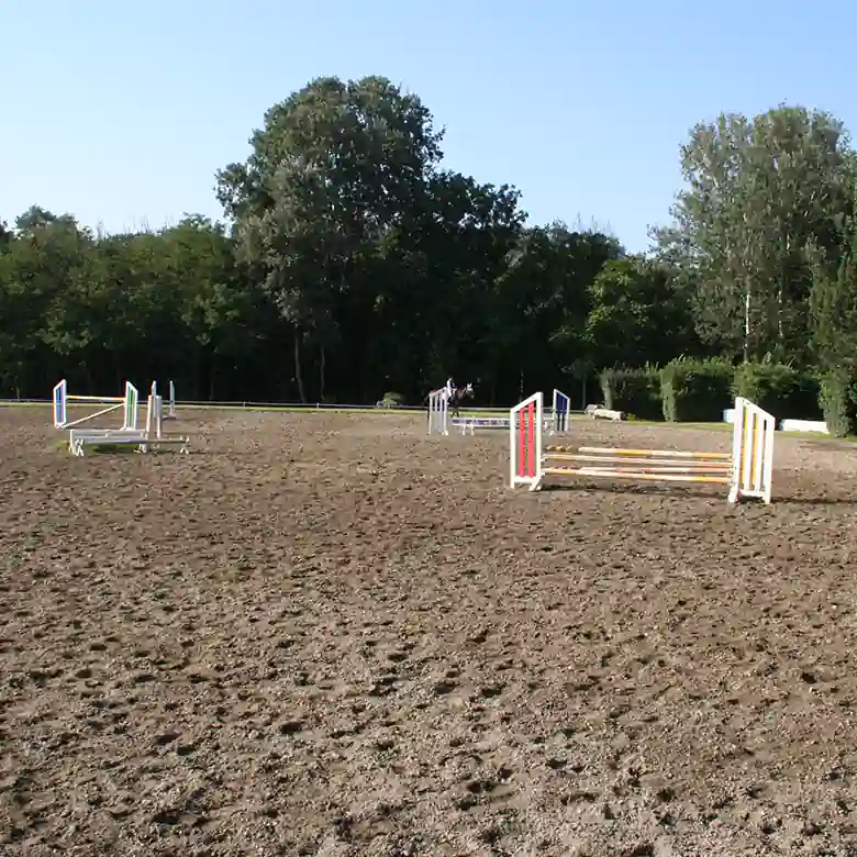 7 / 10: Trainingsplatz und Reitplatz Ameiswiese