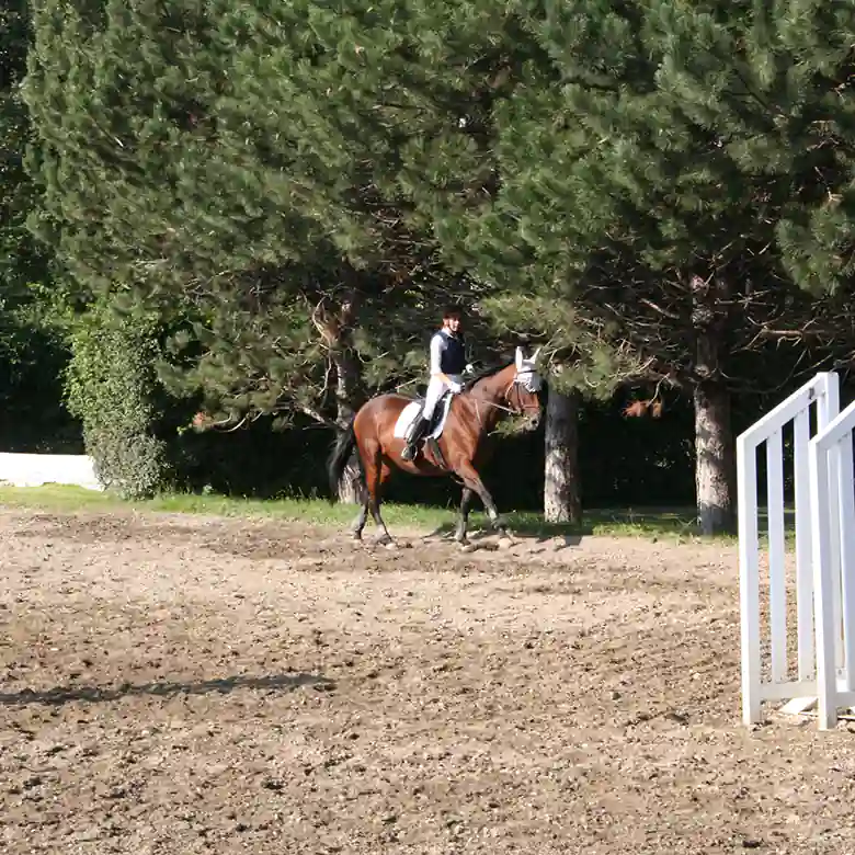 8 / 10: Trainingsplatz und Reitplatz Ameiswiese