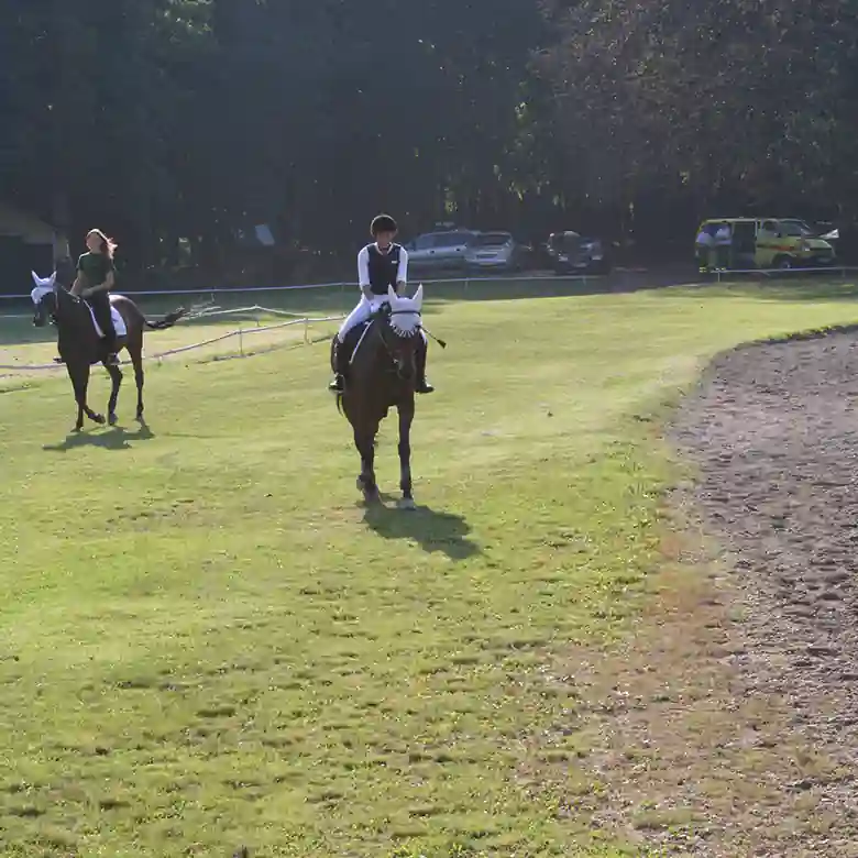 9 / 10: Trainingsplatz und Reitplatz Ameiswiese